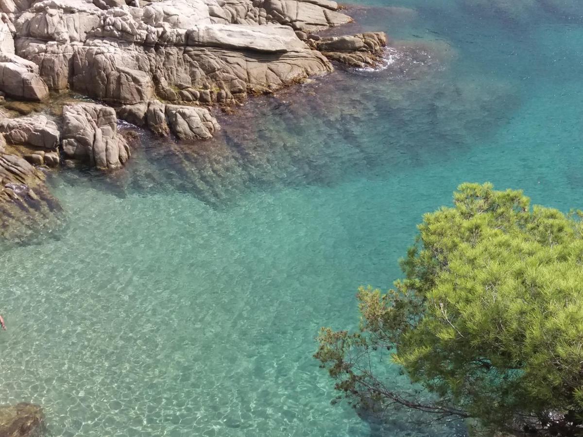 Apartmán La Bastida De Calonge Sant Antoni De Calonge Exteriér fotografie